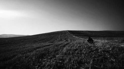 Heyfek Neragirbar Bild 5