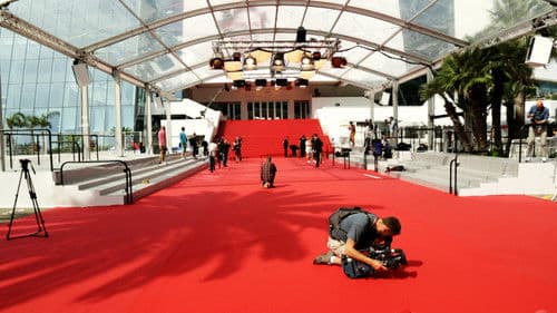 Le goût du tapis rouge Bild 3