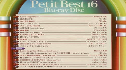 プッチベスト 16 Bild 1