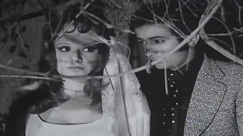 كلمة شرف Bild 1