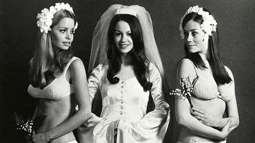 Die Liebesmuschel Bild 3