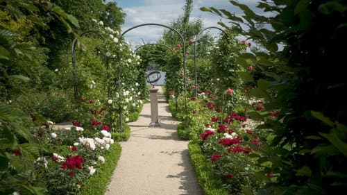 Painting the Modern Garden: Monet to Matisse Bild 3