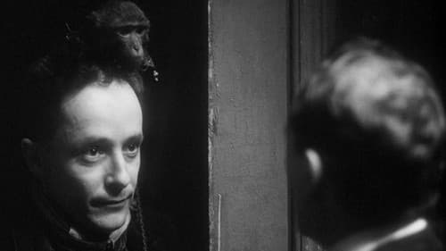 Institute Benjamenta, or This Dream People Call Human Life Bild 6