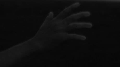 Three Studies of a Nightingale Bild 1