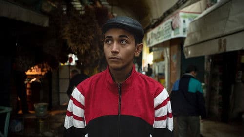 Zulu Rema che ha imparato a volare Bild 1