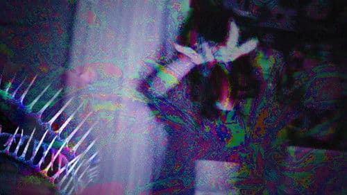 Vapor de Plástico Bild 1