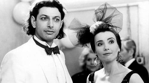 Das lange Elend Bild 2