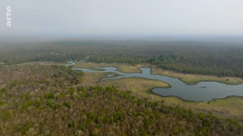 Wildes Indien Bild 8