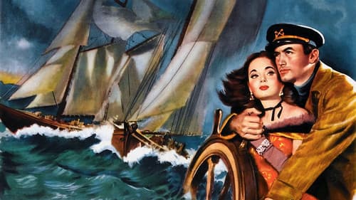 Sturmfahrt nach Alaska Bild 4