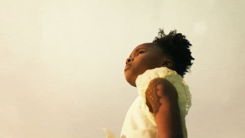 They Charge for the Sun Bild 3