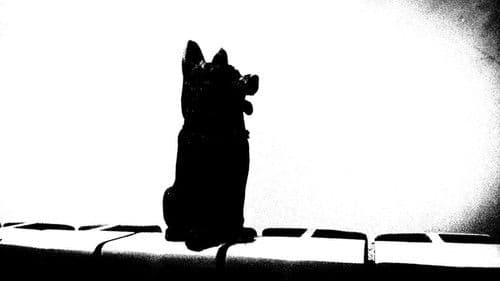 سگ کوچه سرندی Bild 1