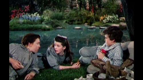 Der geheime Garten Bild 6