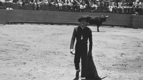Bullfighter and the Lady Bild 8