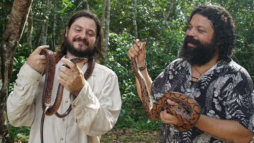 Em Busca das Cobras Bild 3