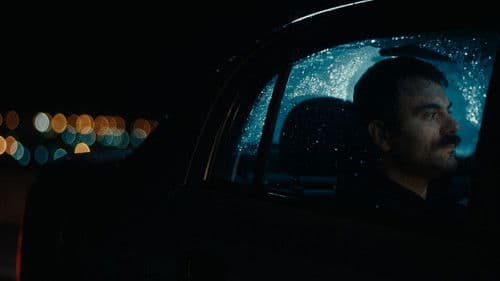 Τρωκτικά του Μπετόν Bild 2