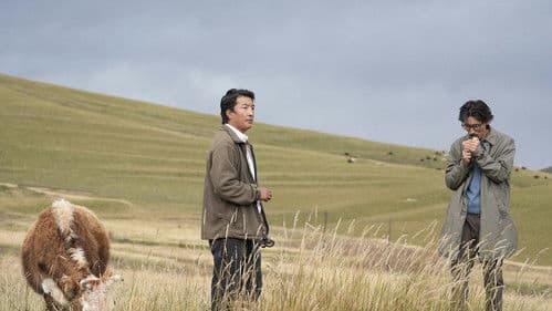 月光里的男孩 Bild 5