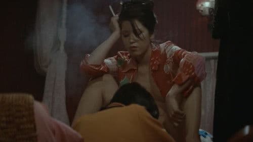 札幌・横浜・雄琴・博多 トルコ渡り鳥 Bild 4