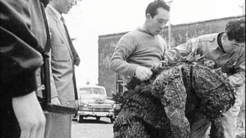 The Art of Suit Acting! Bild 2