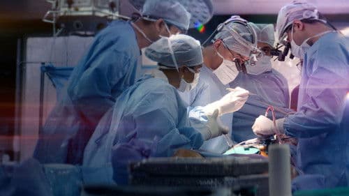 The Surgeon's Cut Bild 3