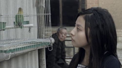 此处与彼处 Bild 1