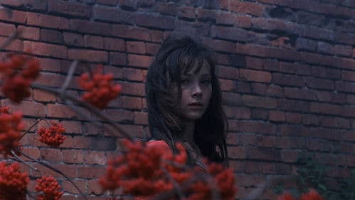 Мой ласковый и нежный зверь Bild 8