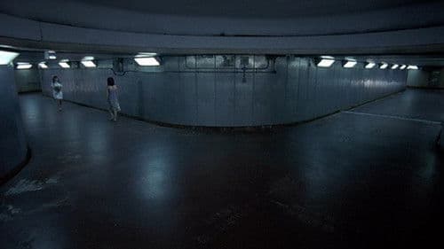 Das Fleisch der Wassermelone Bild 5