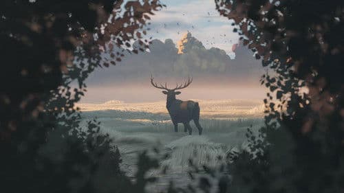 Under the Thicket Bild 2