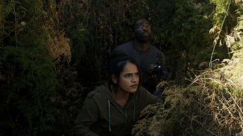 Fighting Olympus Bild 1