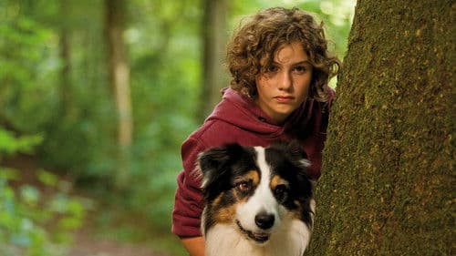 Fünf Freunde Bild 6