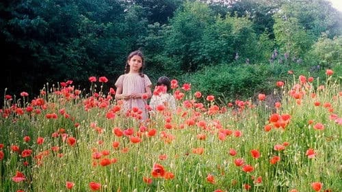 Uova di garofano Bild 3