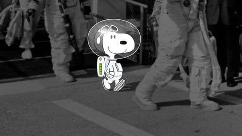 Peanuts im All: Die Geheimnisse der Apollo 10 Bild 3