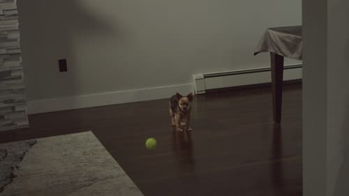 Breaking & Egg-tering Bild 5