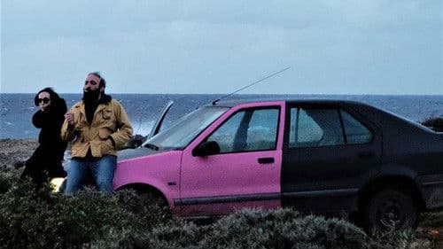 Μαγνητικά Πεδία Bild 3