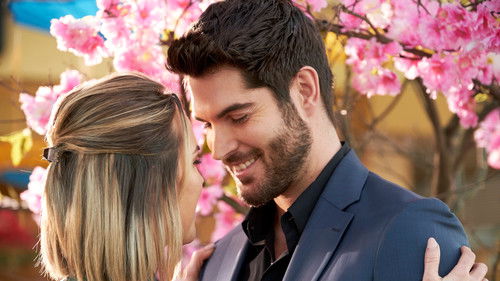 A Brush with Love Bild 6