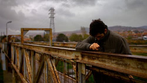 Der wilde Birnbaum Bild 5