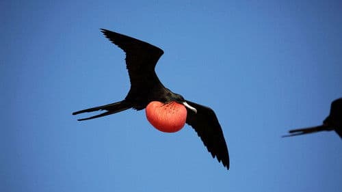 Castro's Secret Reef Bild 6