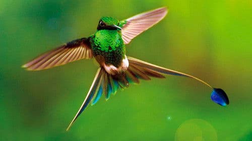 Unsere Erde 2 Bild 4