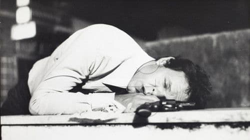 O Homem de Papel Bild 1