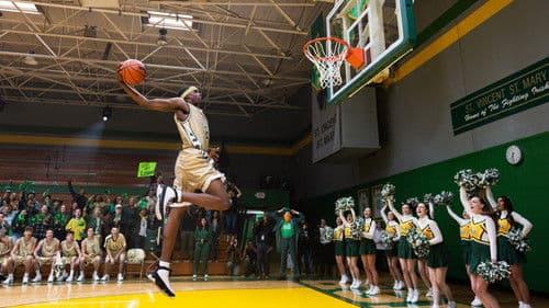 Shooting Stars Bild 5