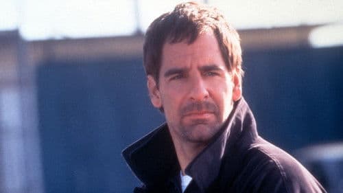 Last Home Run: Wettspiel mit dem Tod Bild 1