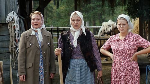 Der Kurschatten Bild 5