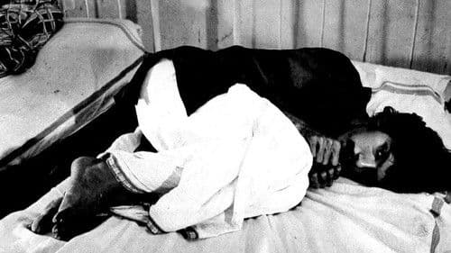 പോക്കുവെയിൽ Bild 2