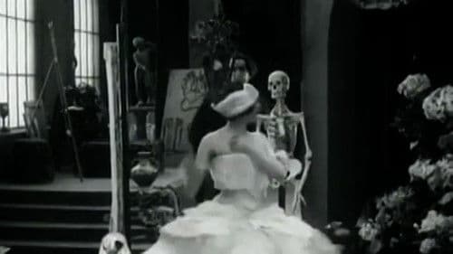 Умирающий лебедь Bild 4