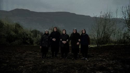 Сунце никад више Bild 3