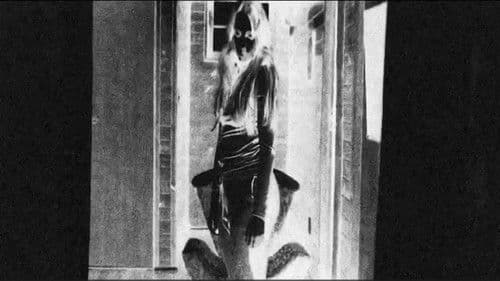 A solitude e outras coisas doces Bild 3