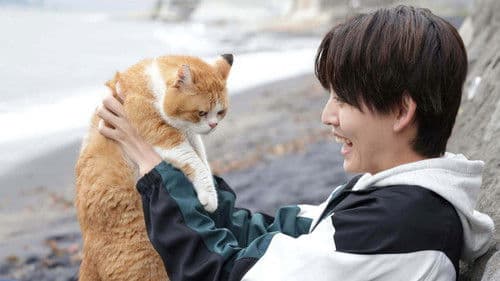 海岸通りのネコミミ探偵 Bild 1