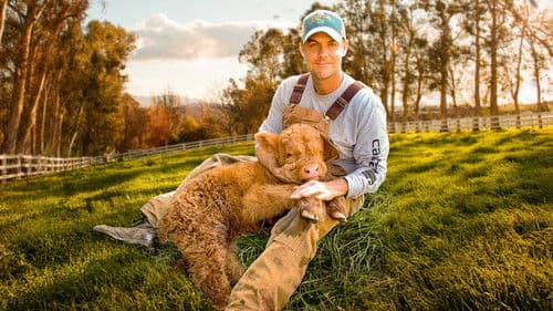 Unsere große kleine Farm Bild 1