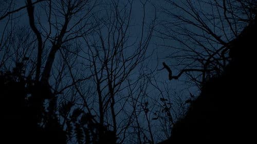 Here Lies Daniel Bild 1