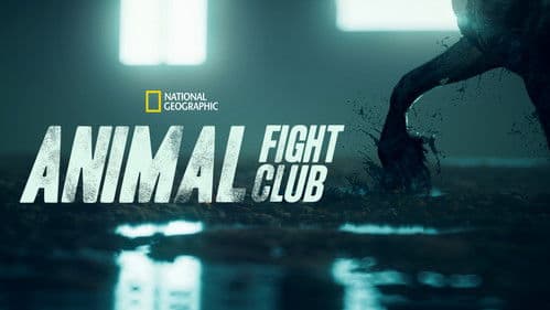 Animal Fight Club Bild 5