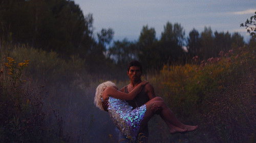 Les oiseaux ivres Bild 5